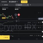 Торговля на терминале Биномо