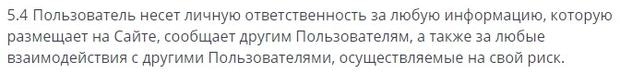 linkyou.ru информация о рисках
