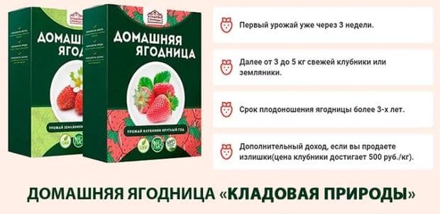 Как использовать домашнюю ягодницу Кладовая природы