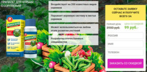Биогард: обзор популярных товаров 2025, бонусы, отзывы | Это развод™