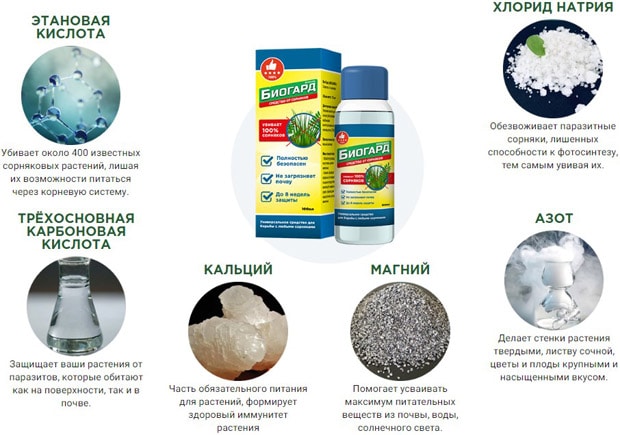 Biogard состав