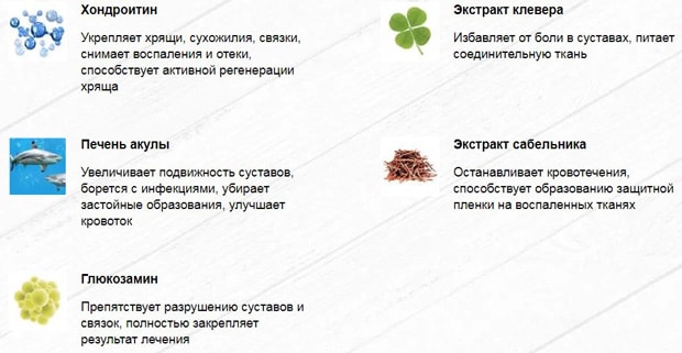 «Сустафаст» состав препарата