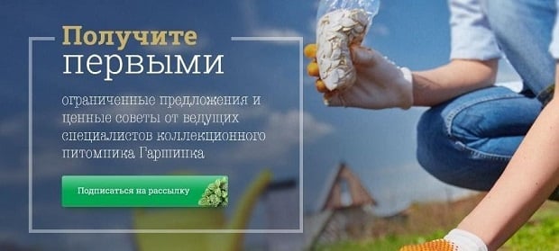 Garshinka информационная рассылка