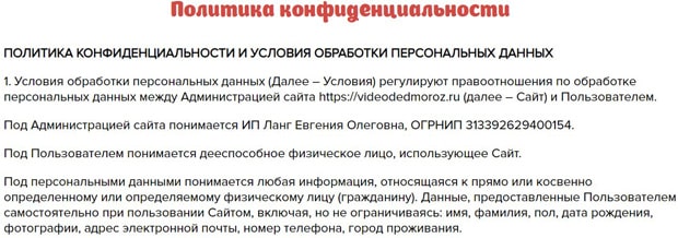 videodedmoroz.ru политика конфиденциальности