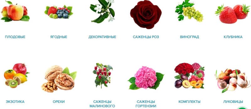 агро-маркет24.ру плодово-ягодные культуры