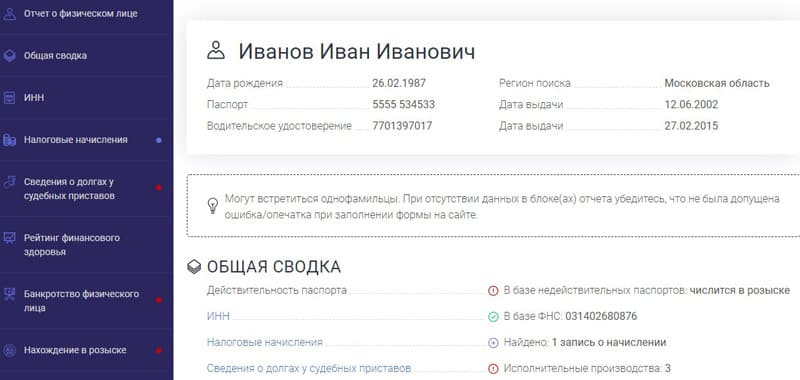 checkperson.ru пример отчета