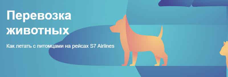 S7 Airlines перевозка животных