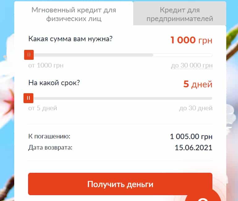 MyWallet условия займов