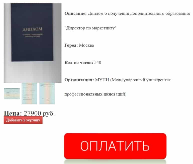 bipars.ru Директор по маркетингу