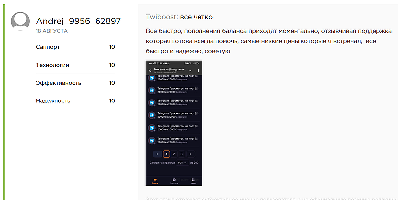 Twiboost отзывы о сервисе 