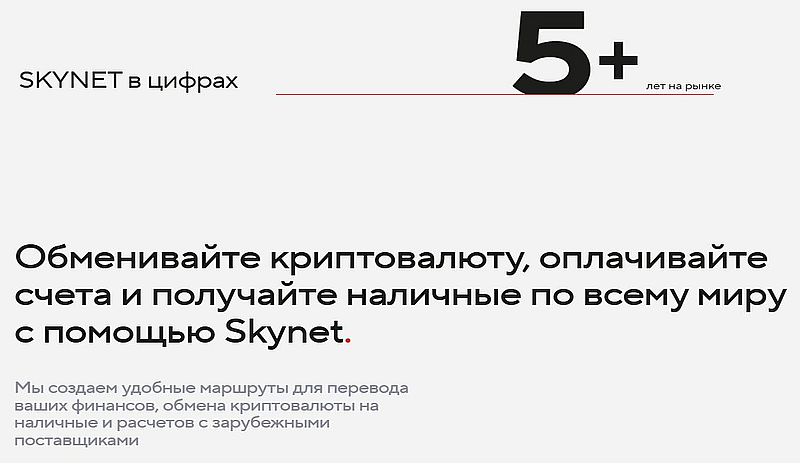 Skynet обмен криптовалюты по всему миру