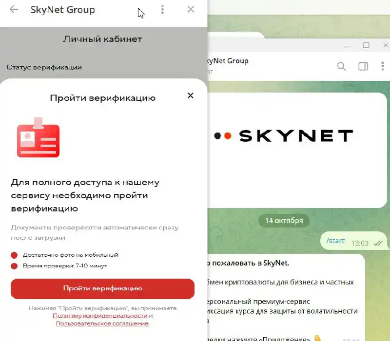 Скайнет верификация